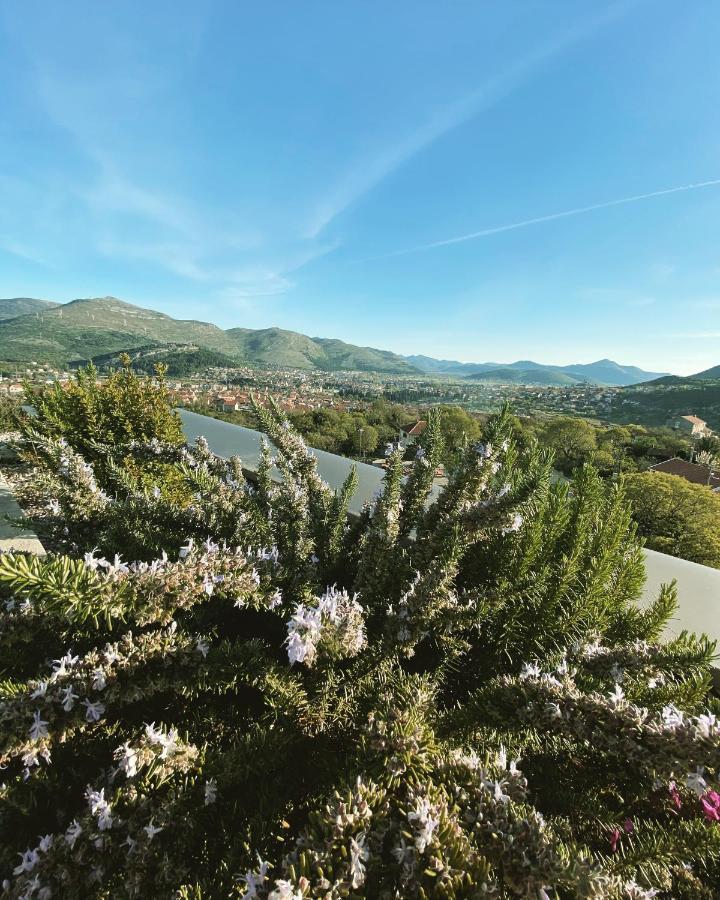 Hotel Bellevue Trebinje Extérieur photo